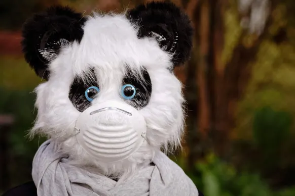 Ролърс Казино Поддръжка